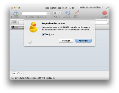 Accepter l'empreinte inconnue lors de la première connexion